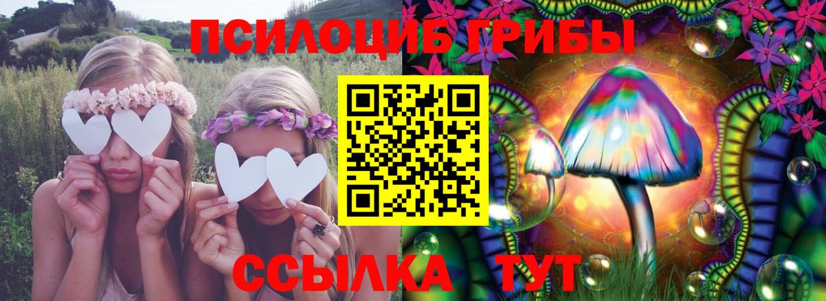 Галлюциногенные грибы GOLDEN TEACHER  Псилоцибиновые грибы Psilocybine cubensis  Вход с VPN  Кольчугино 