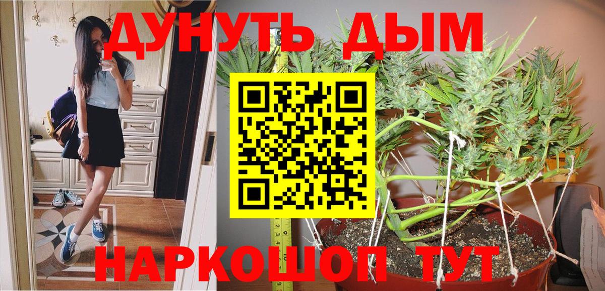 Шишки марихуана гибрид Кольчугино